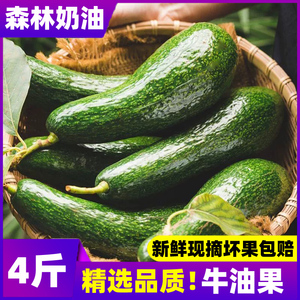 【牛油果天花板】罕见长条无黑丝