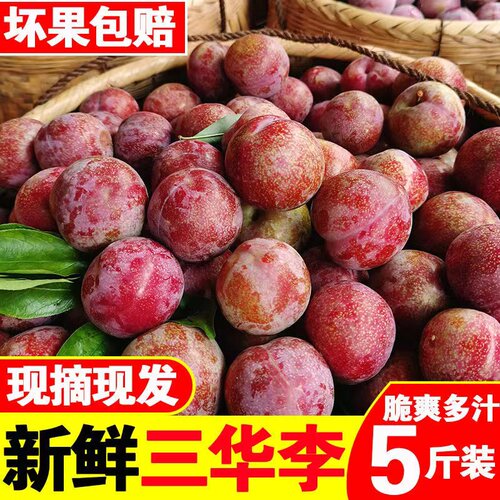 现货三华李新鲜红心李子水果5斤当季农家自种土李子孕妇整箱包邮3