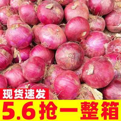 云南特级水果小洋葱甜味生吃
