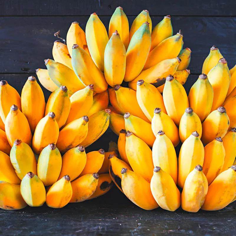 正宗广西小米蕉香蕉9斤应当季新鲜水果小香蕉苹果粉蕉自然熟芭蕉5,水产肉类/新鲜蔬果/熟食,香蕉,淘宝优惠券,粉丝福利购,淘宝优惠卷