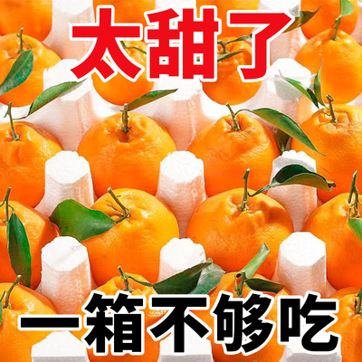 正宗四川特级春见耙耙柑5斤新鲜水果当季整箱丑八怪橘子粑粑柑桔