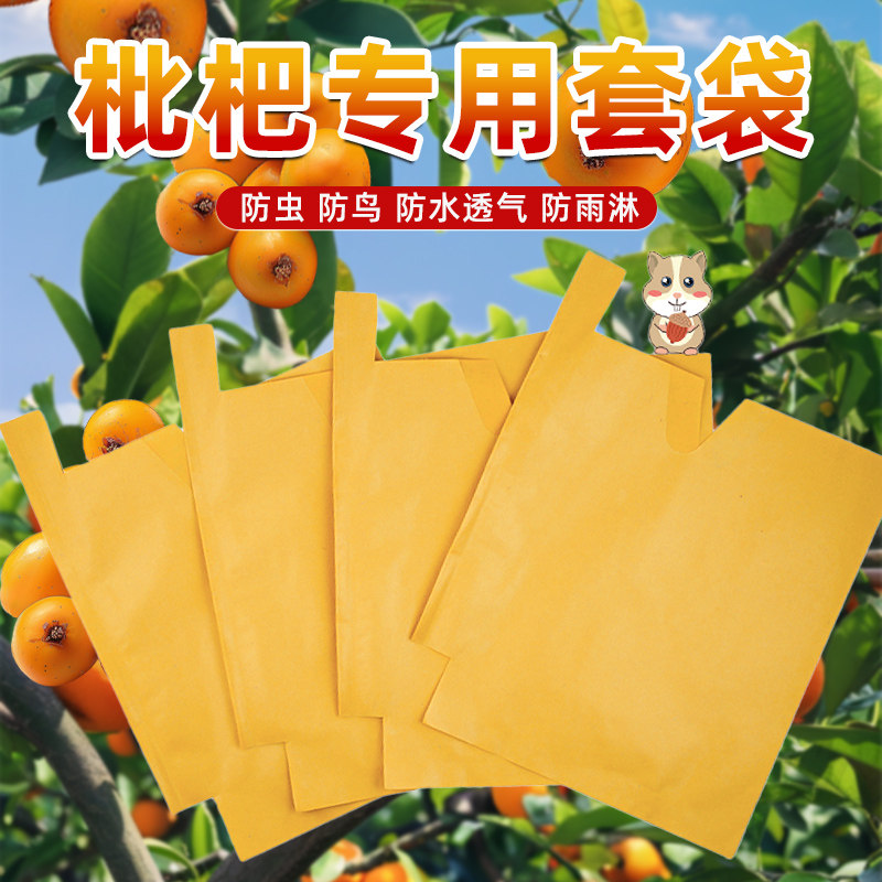 速发枇杷专用套袋防虫防鸟袋单层双层果袋套纸上的树袋水护保果袋