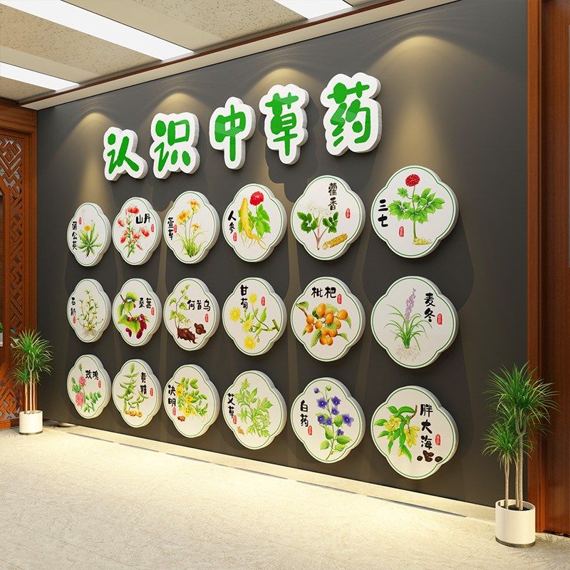 速发中形医药文化养生院馆墙草装饰挂贴画面象氛围幼儿园环创布置