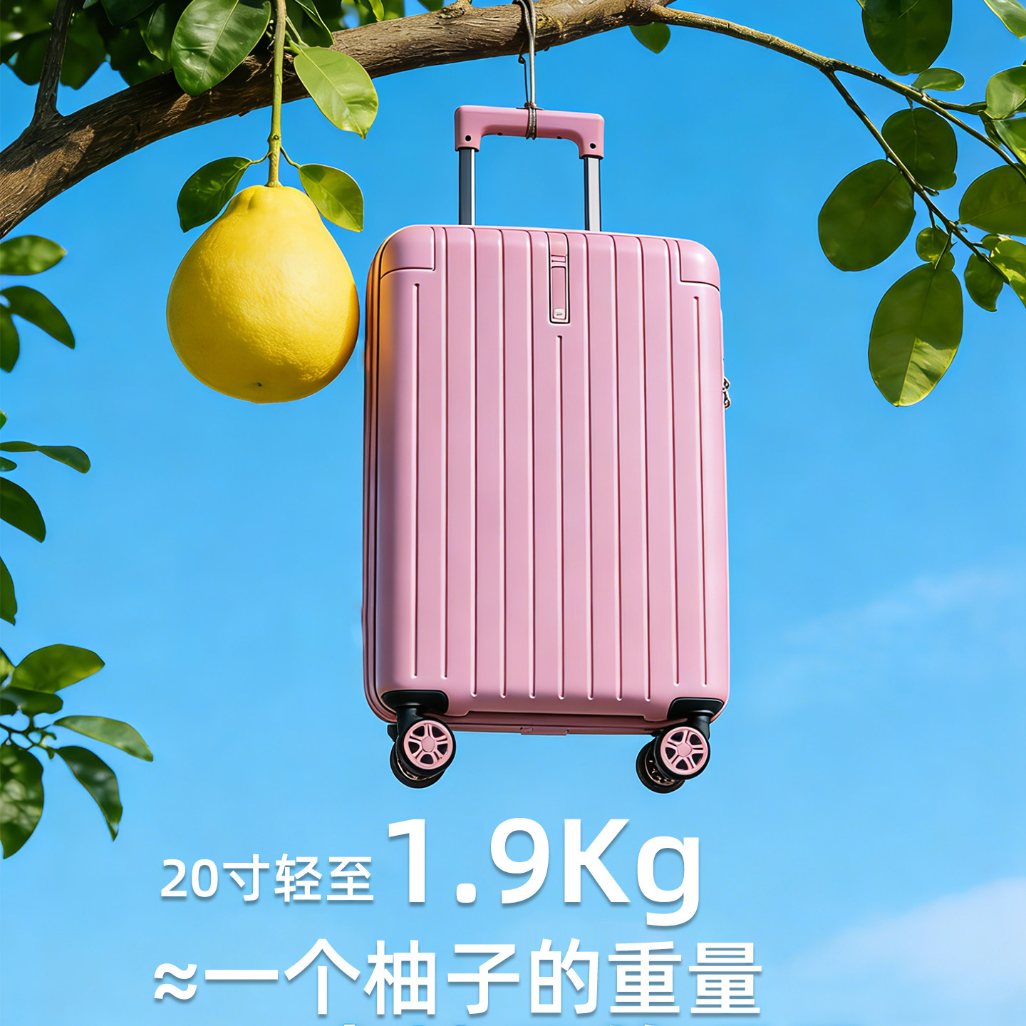 Virgin/维珍2026新款行李箱超轻登机箱拉杆箱20寸防水拉链旅行箱