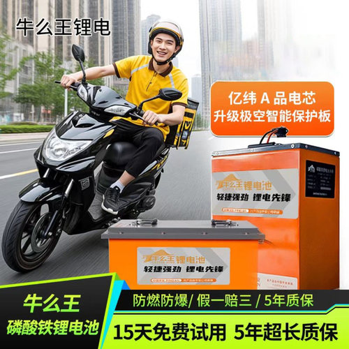 牛么王FM系列电动车电池大容量