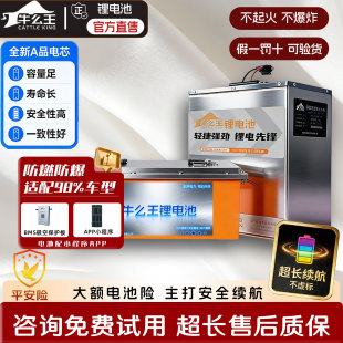 牛么王锂电池国轩系列60V锂电池72V两轮三轮四轮车大容量锂电池