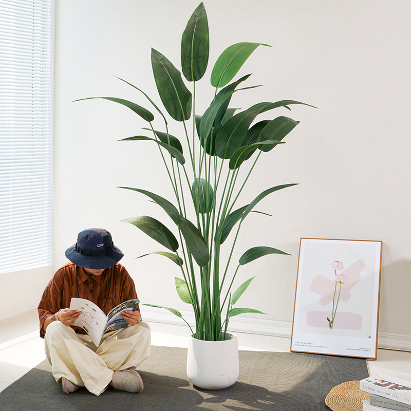 速发大型绿植假植物盆栽造件客人蕉美人蕉旅厅室内装饰落地摆景树