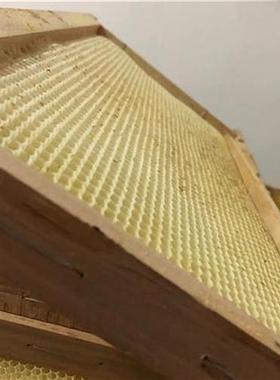 速发意蜂巢脾意蜂巢脾意蜂新脾半旧巢脾础巢脾繁殖用老养蜂工具套