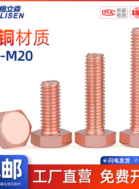速发G外S T2紫铜红铜L六角螺丝电解铜螺栓外六角螺丝M4M5M1M8-M66