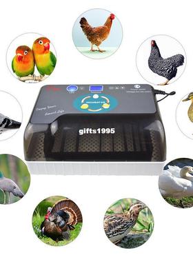 速发Aumat egg icubiabmat urooder Iteit Dig ta