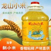 25年新龙山小米黄小米5斤桶装 农家优质月子小米章丘特产龙山贡米