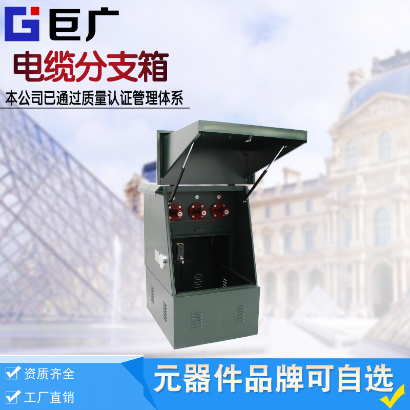 速发户外高压电缆分支箱DFW-12一进一二出12KV高压环网柜电缆分接