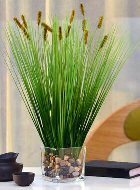 仿真植物铜钱草盆栽室内客厅多肉假花盆景水晶花盆绿植田园摆件