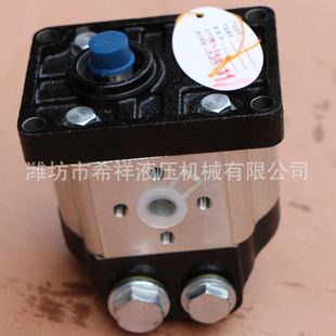 自吸油泵 电动齿轮输油泵 耐磨耐高温齿轮 卧式 现货速发齿轮油泵