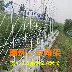 豆角黄瓜爬藤架家用农用豇豆架玻璃纤维杆玻璃钢小苗支撑杆棒架子