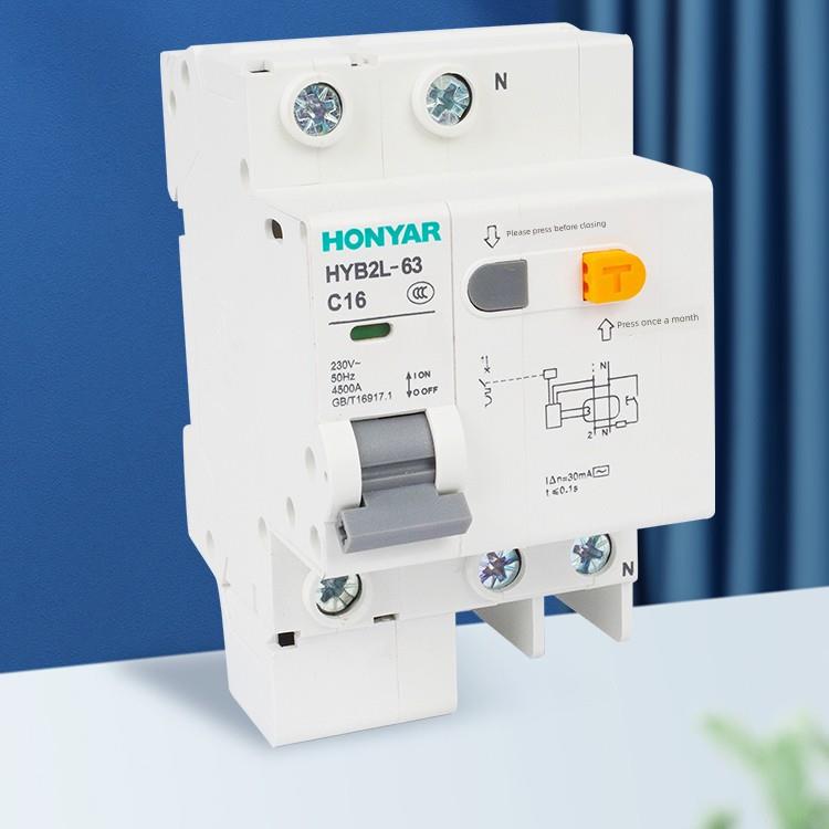 鸿雁空气开关带漏电保护小型断路器2P空开家用电闸短路保护32a63A