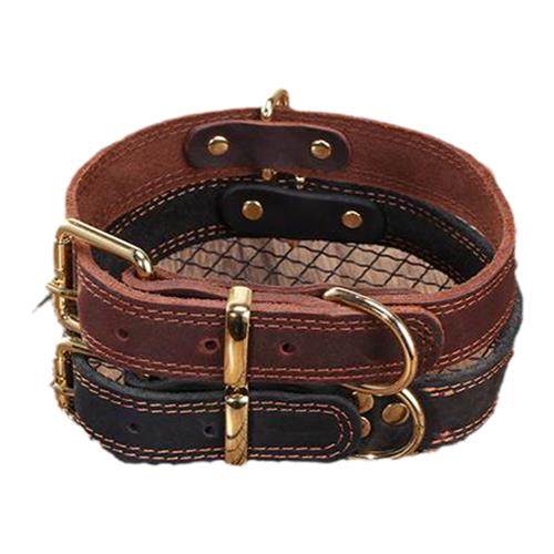 极速牛皮项圈 狗狗牛皮项圈中型犬金毛德牧N项圈小型犬皮项圈泰迪,宠物/宠物食品及用品,项圈/肩带,淘宝优惠券,粉丝福利购,淘宝优惠卷