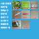 饲 巨型标准套装 极速科学课蚕卵套装 o蚕宝宝学生套餐科普养蚕套装