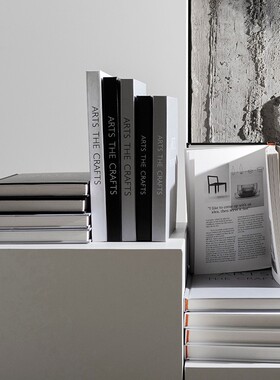 新品书房客厅样板间n别墅售楼处软装摆件内页黑白可翻页书道具装