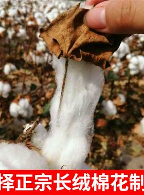 极速新a类新强新疆棉花被子棉v絮被芯18x22垫被新疆被被絮背芯寝