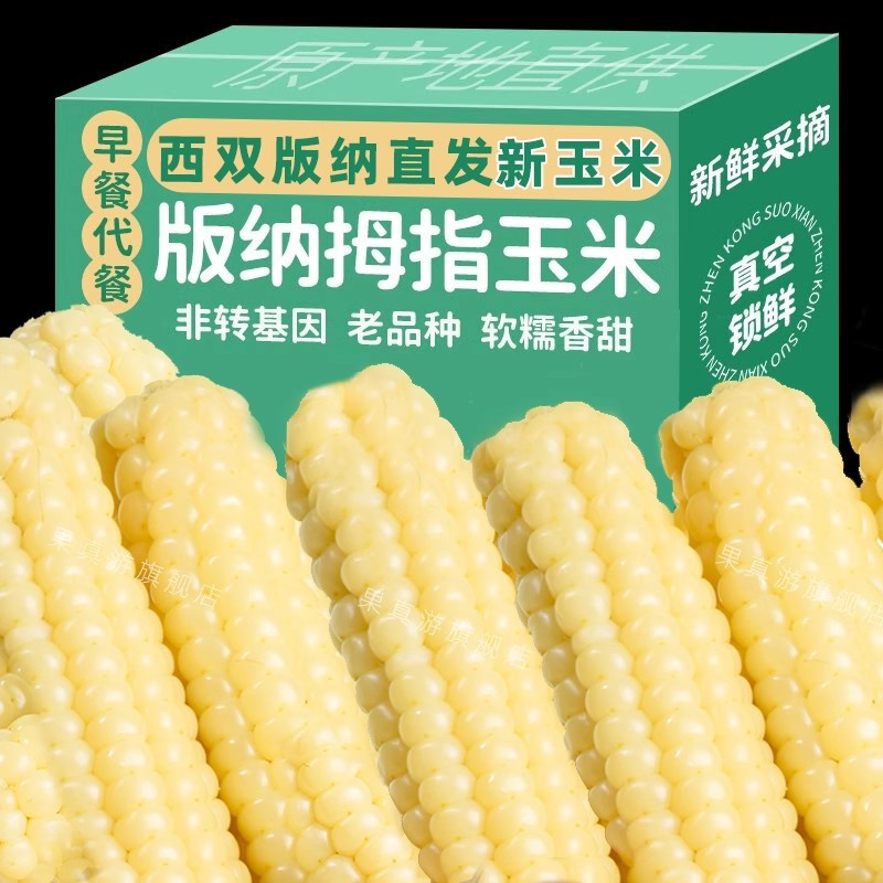 【立减30元】拇指玉米糯玉米新鲜糯小傣家玉米棒早餐即食儿童代餐