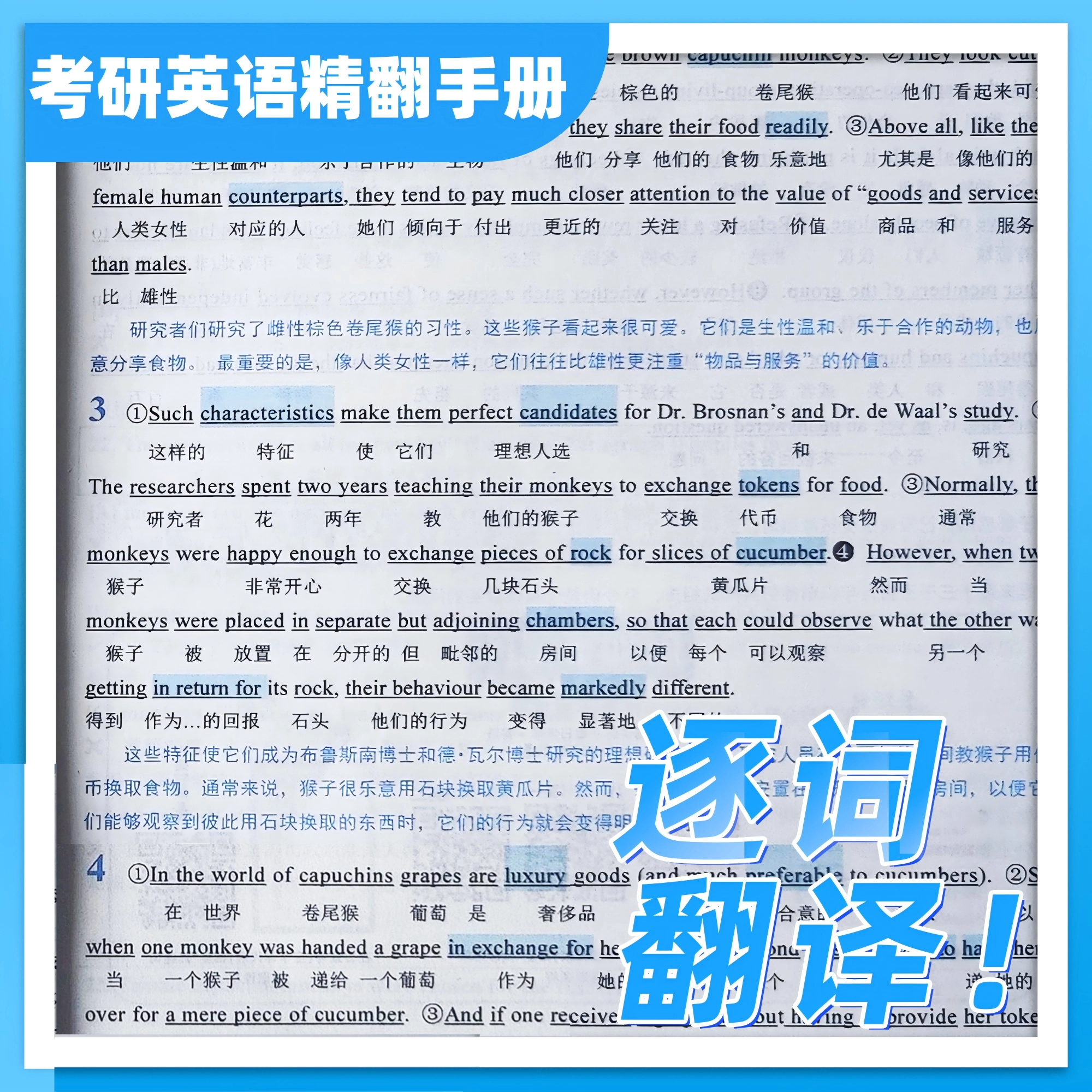 空卡官方26考研英语蓝皮书《精翻手册》阅读 小三样 英语一/二
