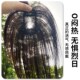 新品 轻薄透气自然前额高颅顶 幼态3D刘海假发片女头顶全真发G夏季