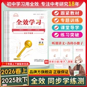 七八九年级上下册 2025秋上半学期—2026春下半学期新版 全效学习同步学练测我 错题本语数英生地化物历史道法湖南教育出版 社