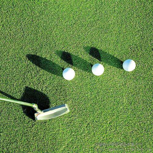 极速Artificial lawn artificial lawn plastLic fake turf kinde