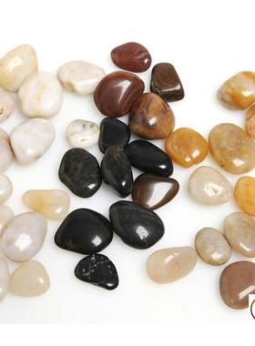 极速鱼缸彩石大鱼缸池水r草缸养乌龟小石子小石粒铺底花瓶里的花