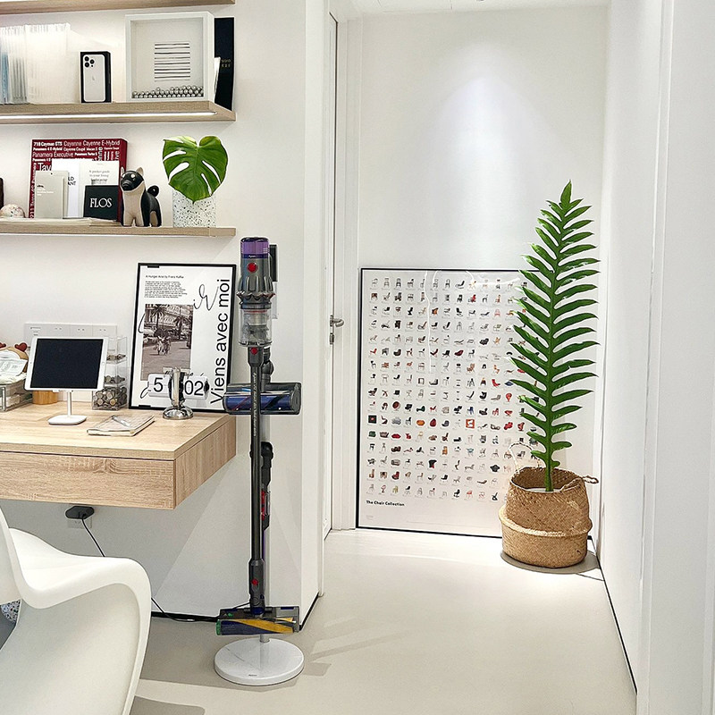 极速王冠蕨巨叶崖姜蕨盆栽t办公室内桌面耐阴好养花卉绿植网红大