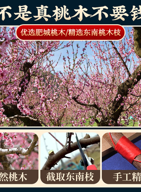 极速东南桃木枝棍桃树枝条原木干客厅朱砂枝儿Q童婴儿车挂钥匙扣