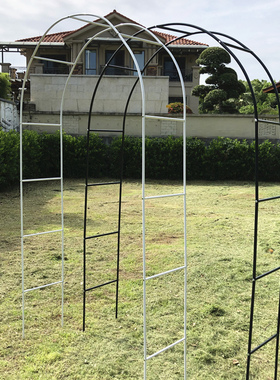 极速园艺铁线莲月k季拱形拱门花架爬藤架攀爬植物支架杆葡萄架户
