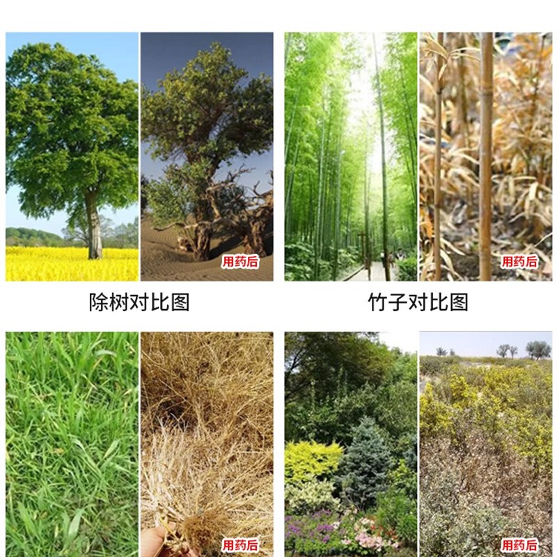 极速灭树粉除草烂根剂除树灭竹子灌木杂草绿树烂根王W专用让树枯
