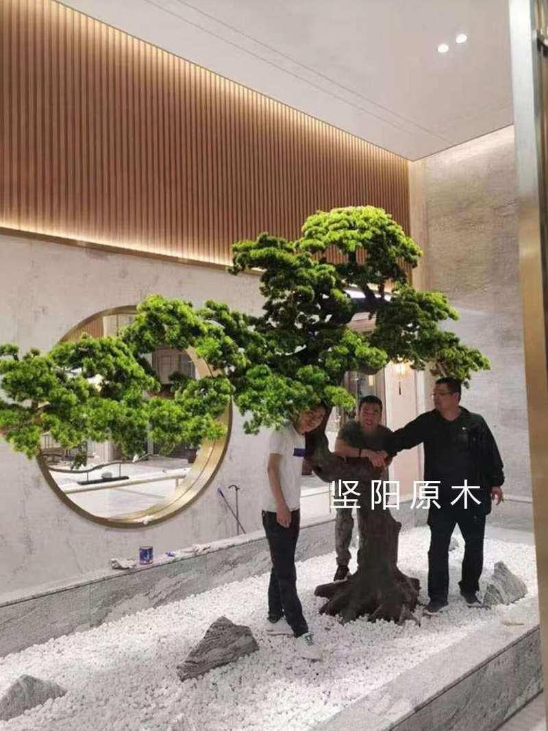 随崖柏灯木灯根雕灯茶桌原木灯架树根落地台灯茶天然0Y02雕形树枝