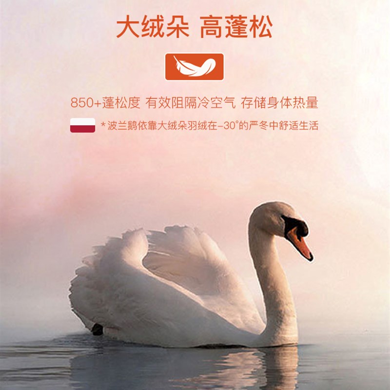 极速猫人保暖内衣男士秋冬季含羊毛自发热秋衣打S底衫内穿贴身上