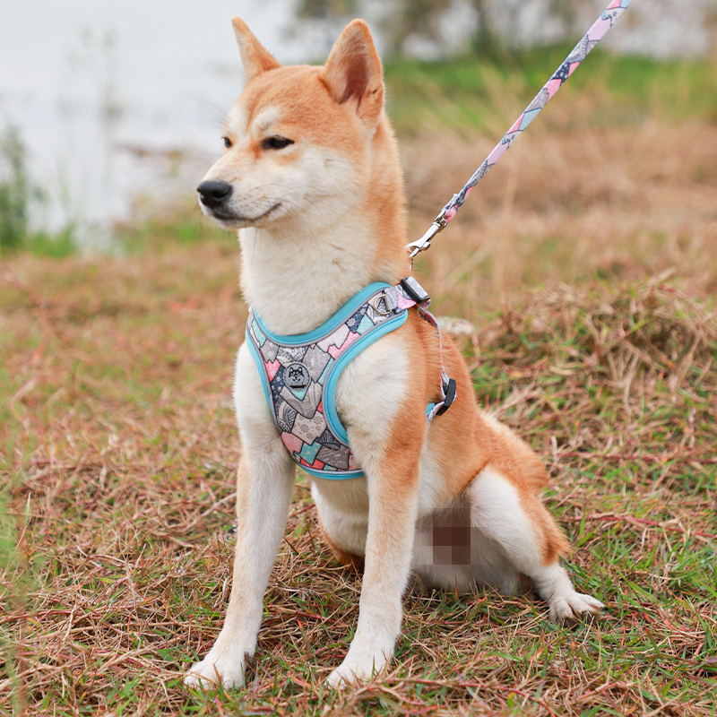 极速狗狗牵引g绳遛狗绳背心式小型犬胸背博美法斗柴犬柯基外出宠