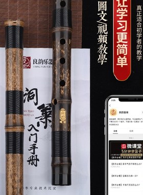 极速短萧乐器g专业演奏初学入门素紫竹洞萧笛F正反手八孔G调一节