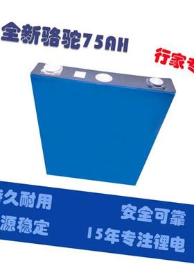 极速全新3.2v75A86A135A大单体动K力锂电动车48v60v储能