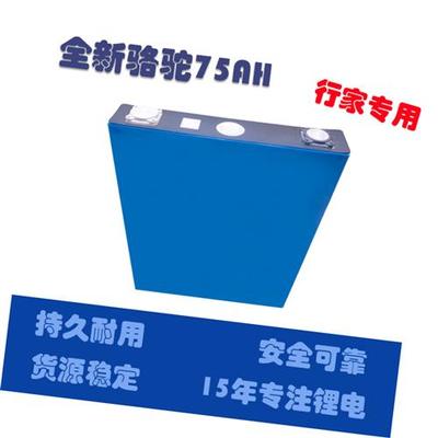 极速全新3.2v75A86A135A大单体动K力锂电动车48v60v储能