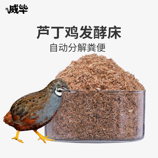 极速芦丁鸡发酵床菌种柯尔鸭鹌鹑成品鸡笼卢丁自R动分解粪便干撒