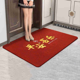 entrance rub 极速Simbeier trip foyer doorway entry safe door