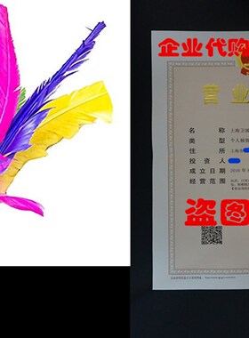 极速HDYD Colorful Feather Chinese Jianzi Kicking Shuttl.ecoc