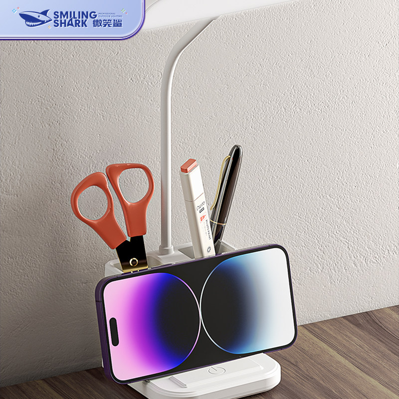 极速写作业台灯学习专用小学生书A桌护眼可夹式卧室充电儿童床头
