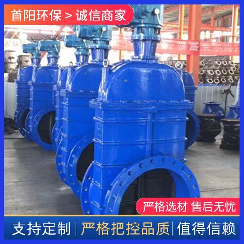 热销软密封闸阀Z54n5X弹性座封暗杆闸阀DN600伞齿轮电动暗杆明杆