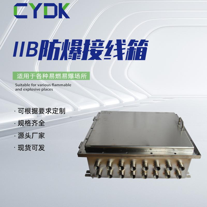 2B2C级防爆箱隔爆型防爆仪表箱控制箱接线箱防爆端子箱工厂直销