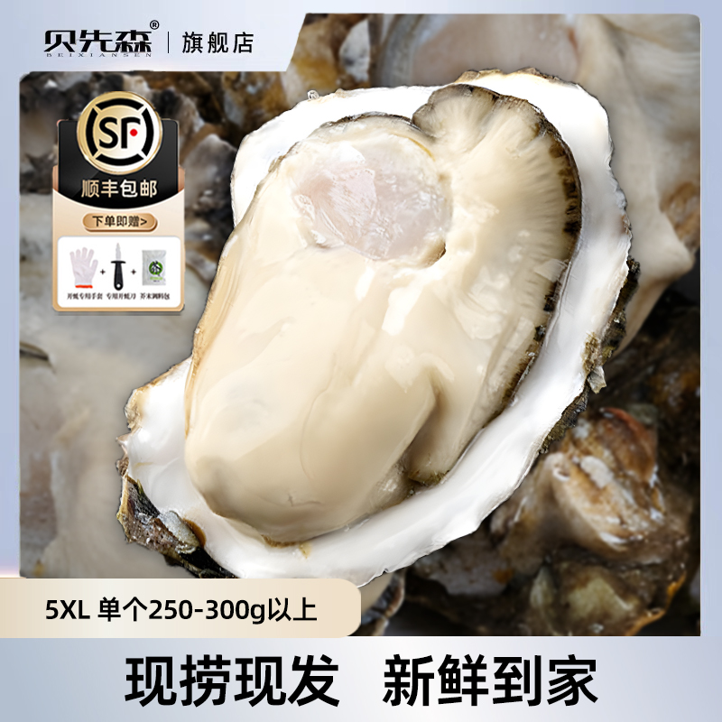 【欢乐零食节】生蚝鲜活5XL4斤净重整箱5斤毛重新鲜cb