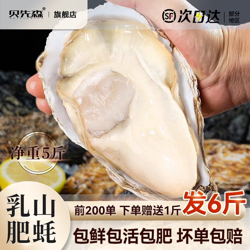 乳山生蚝鲜活新鲜特大牡蛎肉海蛎子5斤带箱海鲜水产商用批发顺丰-封面