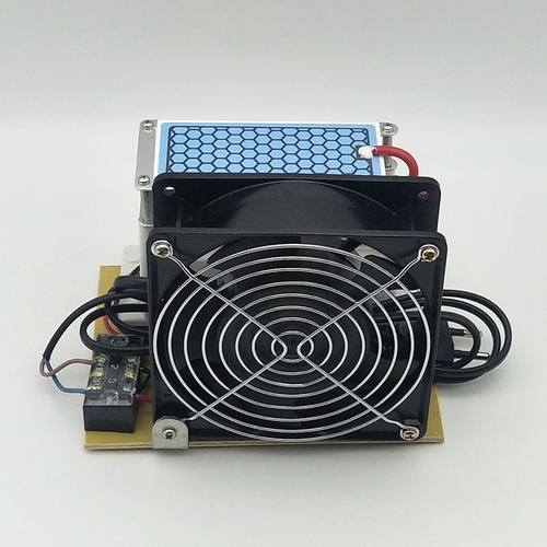 极速10g220V一t体臭氧产生器臭氧机净化空气除异味