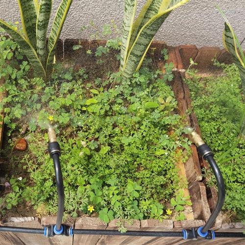 极速自动浇水定时器可调节万向喷头可关闭铜喷P嘴快插降温浇花喷